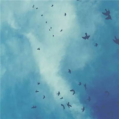 金沙集团9500官网app下载截图